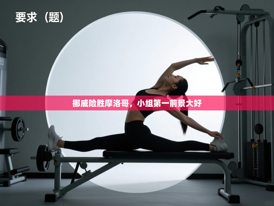 挪威险胜摩洛哥,小组第一前景大好 第2张